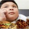 ADHD linked to High Fat Diet? | Orlando ADHD Counseling Expert | University of Illinois