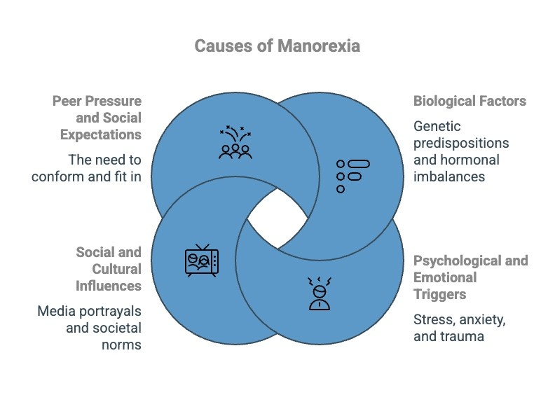 Causes of Manorexia