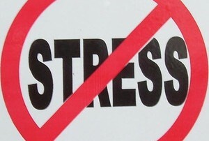 Cover image for No stress