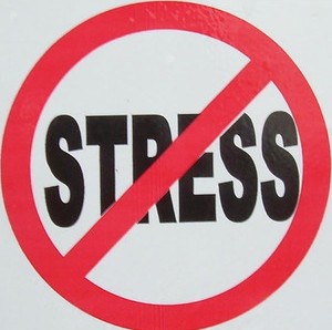 Cover image for No stress