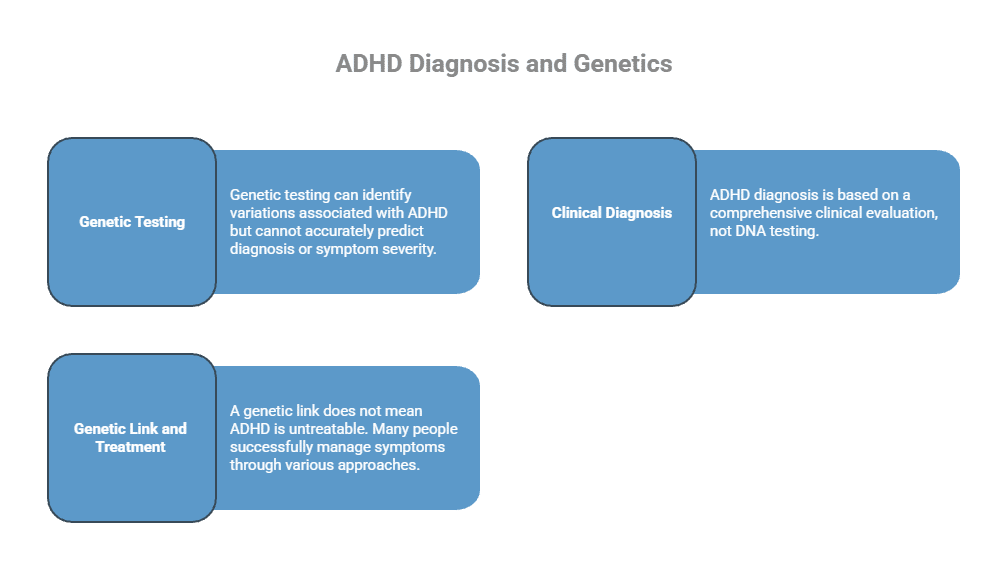 Infographic explaining ADHD diagnosis and genetics, showing that genetic testing can identify ADHD-related genetic variations but cannot diagnose ADHD, while clinical evaluation remains the standard diagnostic method. It also highlights that a genetic link does not make ADHD untreatable. - Total Life Counseling for Children, Teens, Adolescents and Adults in Orlando Winter Park Clermont Lake Mary and Central Florida - Total Life Counseling for Children, Teens, Adolescents and Adults in Orlando Winter Park Clermont Lake Mary and Central Florida Infographic explaining ADHD diagnosis and genetics, showing that genetic testing can identify ADHD-related genetic variations but cannot diagnose ADHD, while clinical evaluation remains the standard diagnostic method. It also highlights that a genetic link does not make ADHD untreatable.