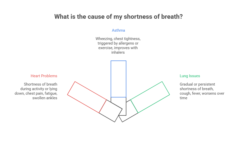 Infographic of causes of shortness of breath