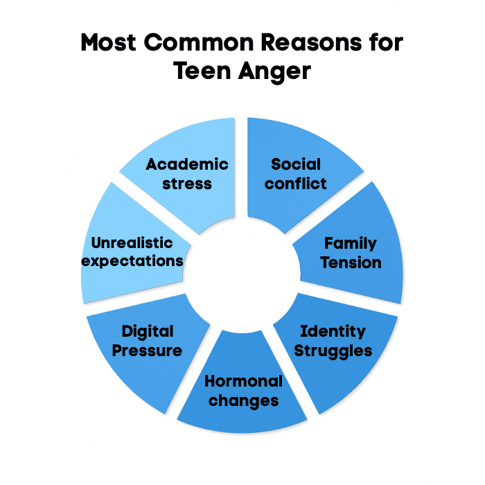 An infographic on Most Common Reasons for Teen Anger.