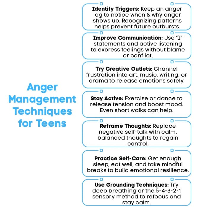 An Infographic on Anger Management Techniques for Teens.