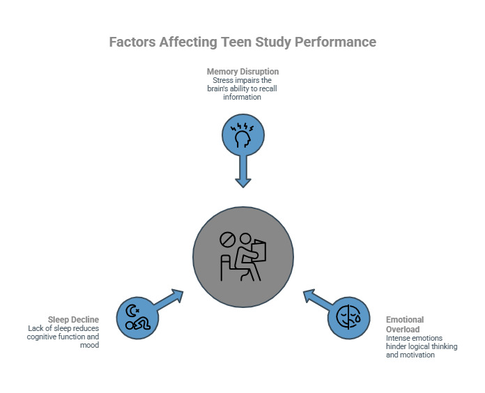 How Does Stress Affect a Teen’s Ability to Study and Perform_ - visual selection - Total Life Counseling for Children, Teens, Adolescents and Adults in Orlando Winter Park Clermont Lake Mary and Central Florida How Does Stress Affect a Teen’s Ability to Study and Perform_ - visual selection