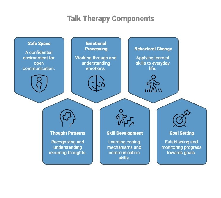 Infographics on Talk Therapy Components