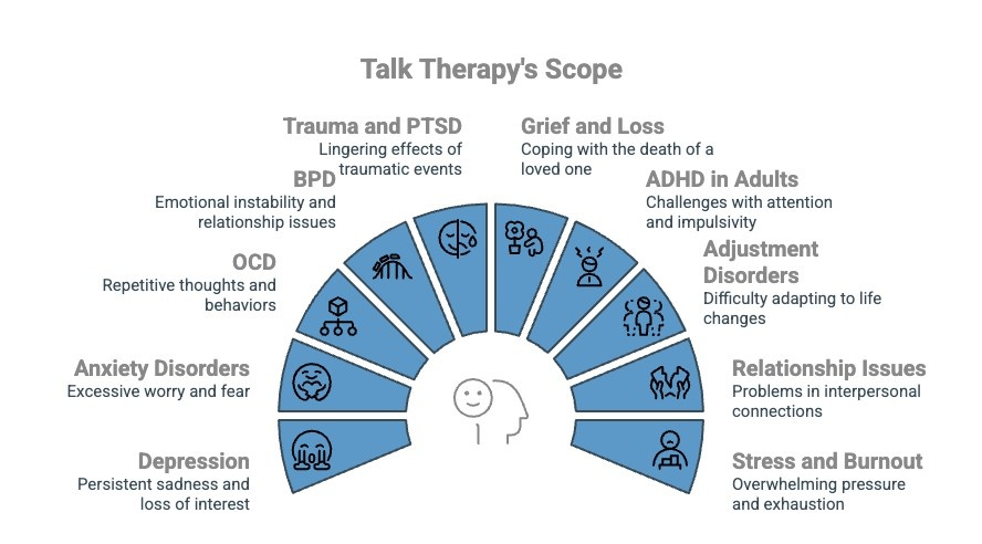 Infographics on Talk Therapy's Scope