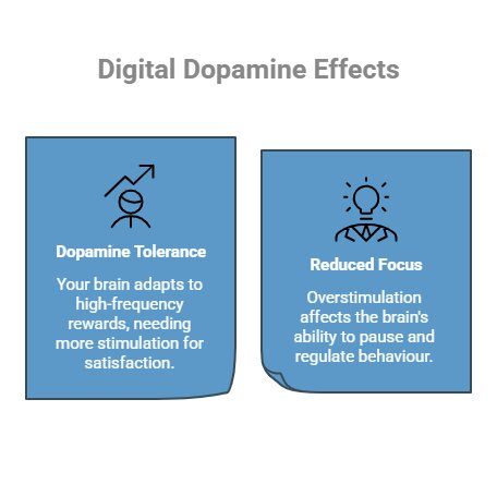 Infographic on What Happens to Your Brain With Digital Dopamine Over Time_ - visual selection