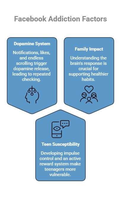 Infographic on Why Is Facebook Addictive_ The Neuroscience Behind the Lawsuit - visual selection