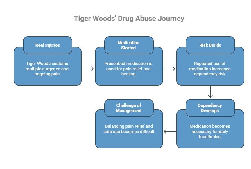 Infographic on What Does Tiger Woods Drug Abuse Actually Mean_ - visual selection